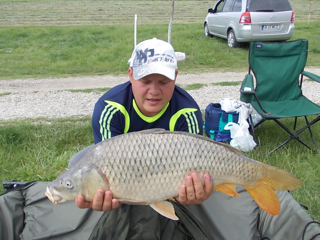 Tancabesti si Moara Vlasiei2 - dscn1714.JPG